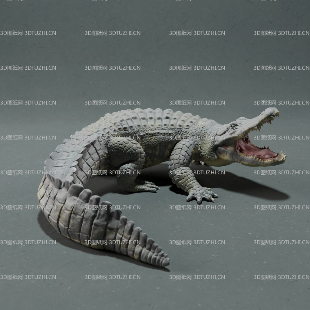 鳄鱼攻击姿态-3D图纸网
