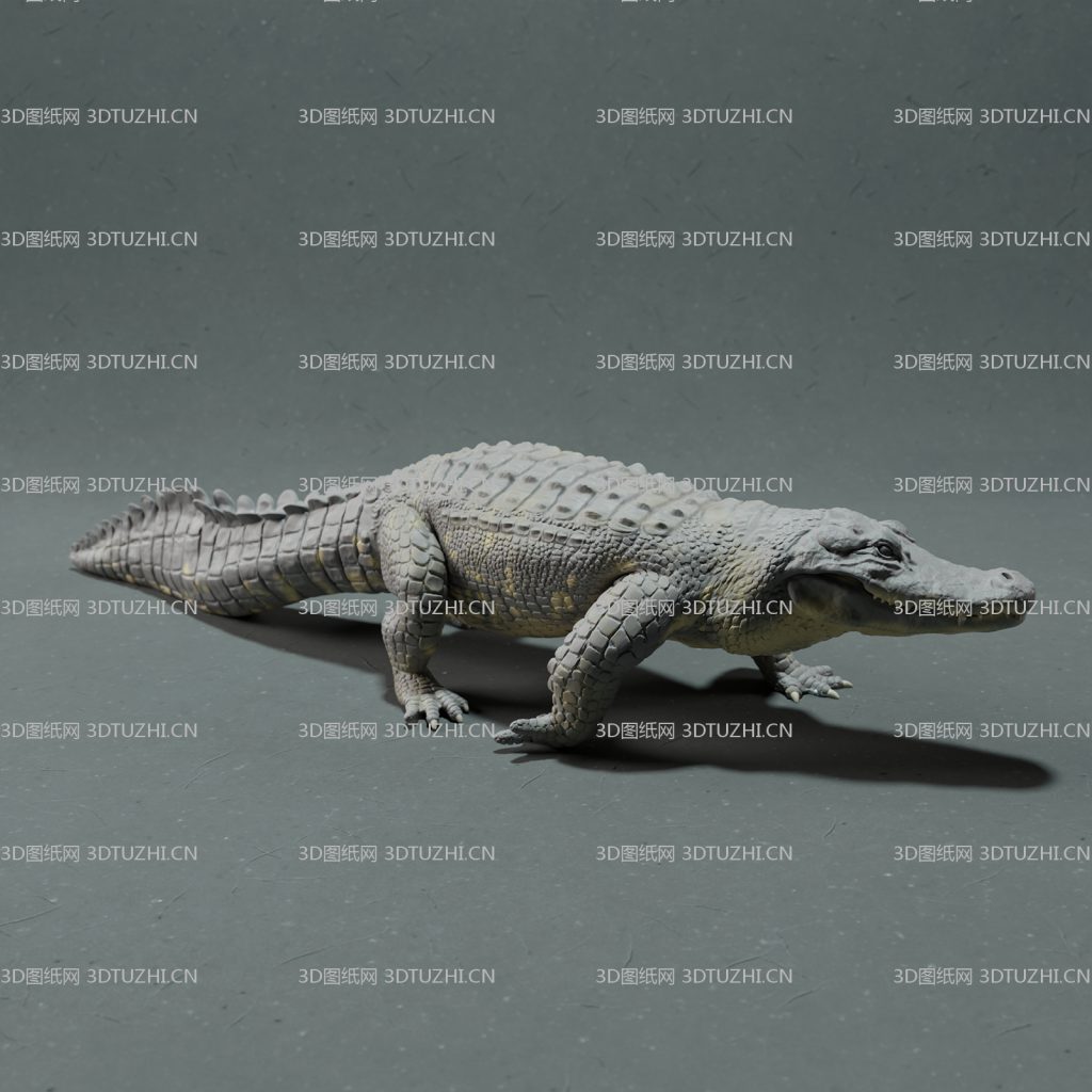 鳄鱼爬行姿态-3D图纸网