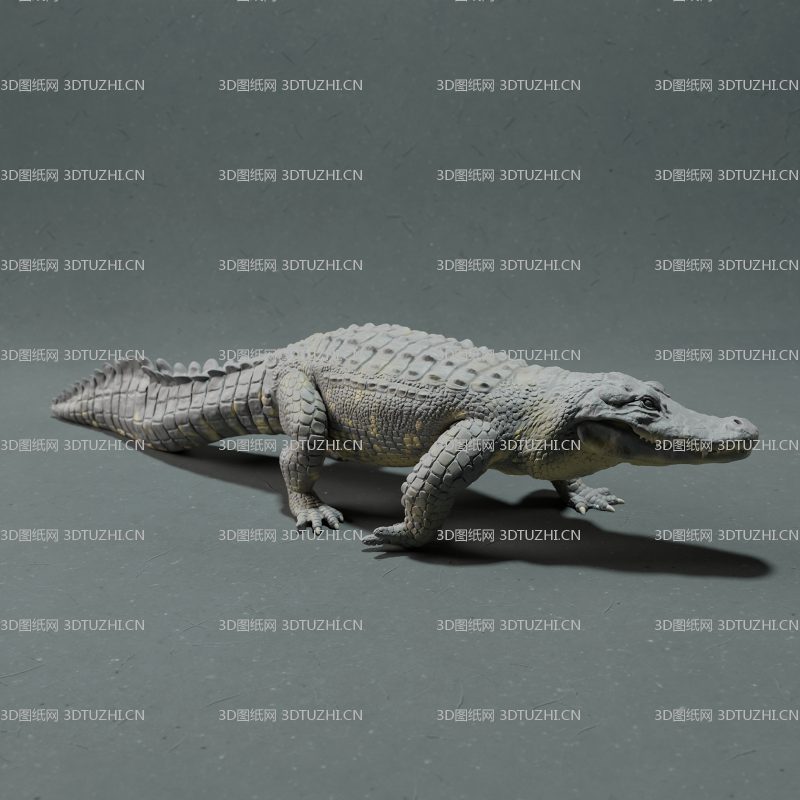 鳄鱼爬行姿态-3D图纸网