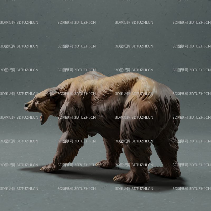 北美灰熊咆哮-3D图纸网