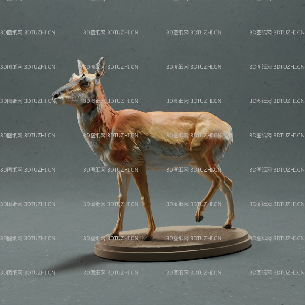 69a8c213-pronghorn-female-1