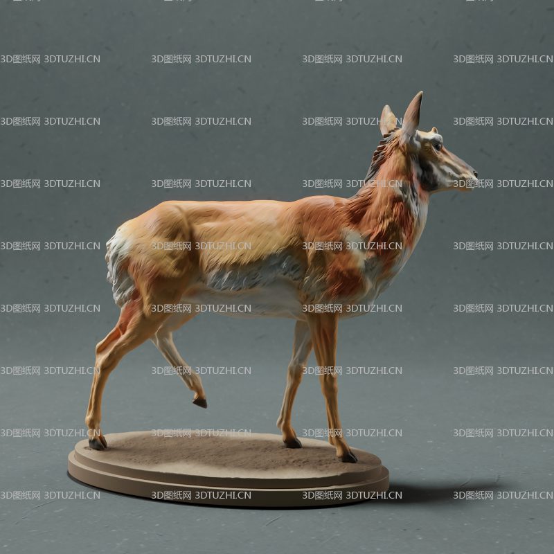 母美洲羚羊糜鹿叉角羚-3D图纸网