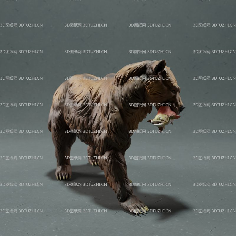 美洲灰熊吃鱼-3D图纸网