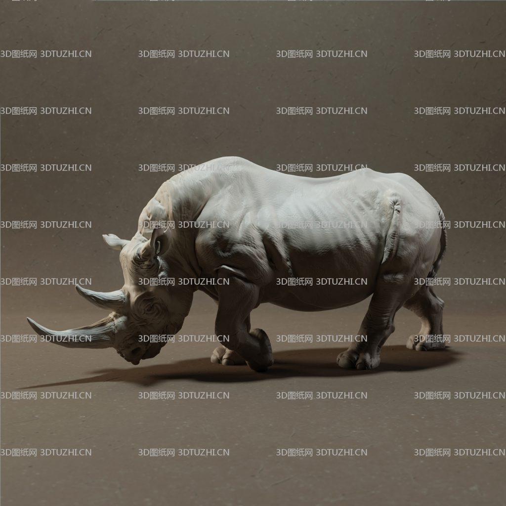 非洲犀牛高精度图纸-3D图纸网