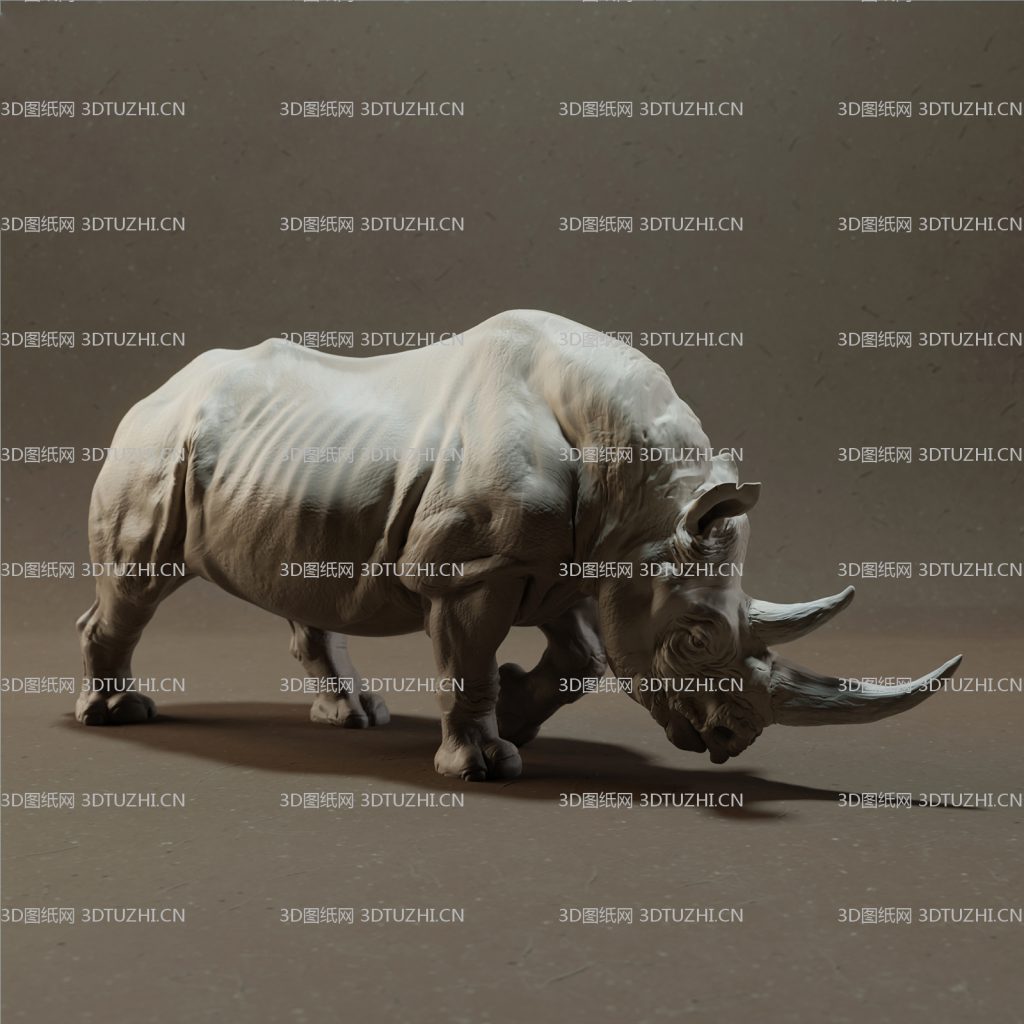 black-rhino-2