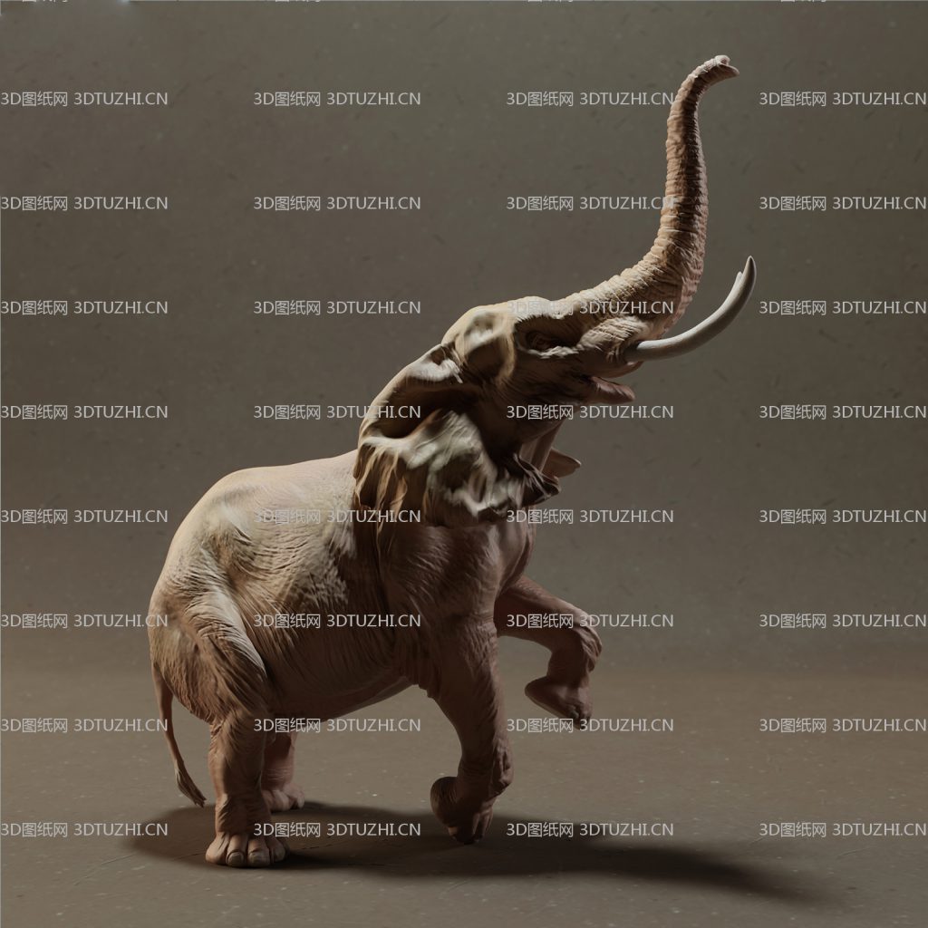非洲大象站立-3D图纸网
