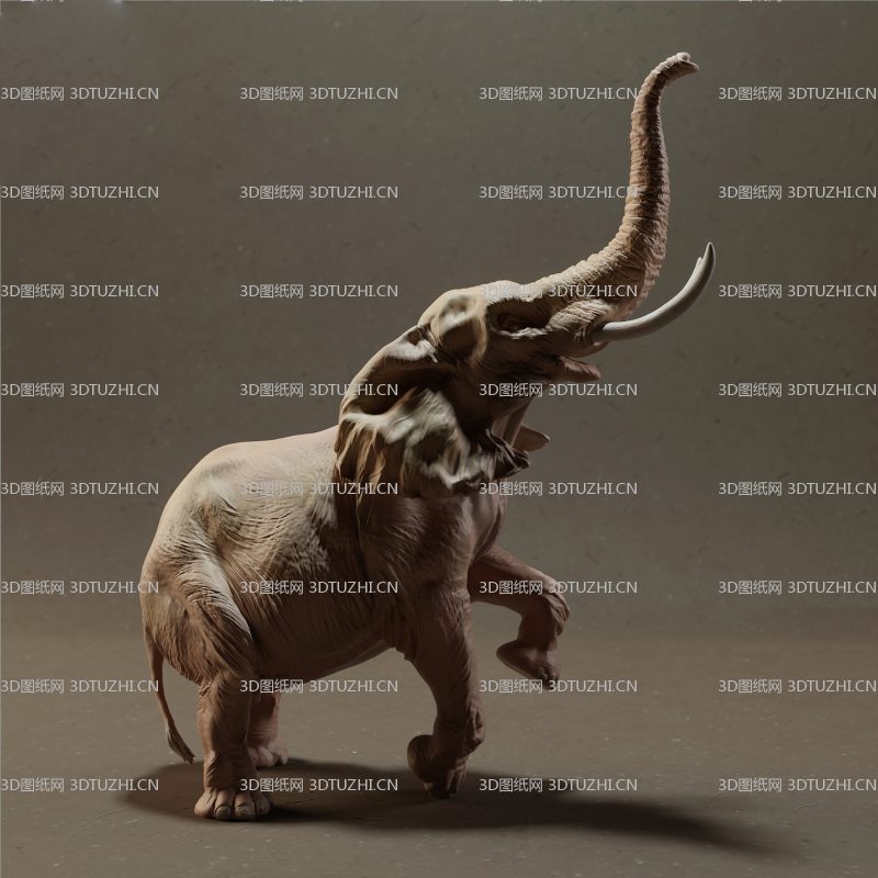 非洲大象站立-3D图纸网