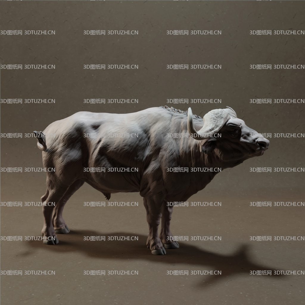 非洲水牛高精度-3D图纸网