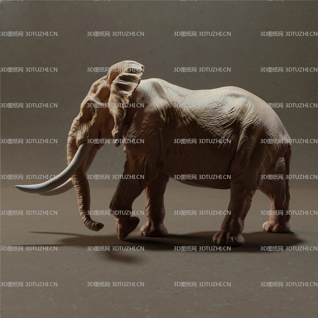 非洲大象3D图纸-3D图纸网
