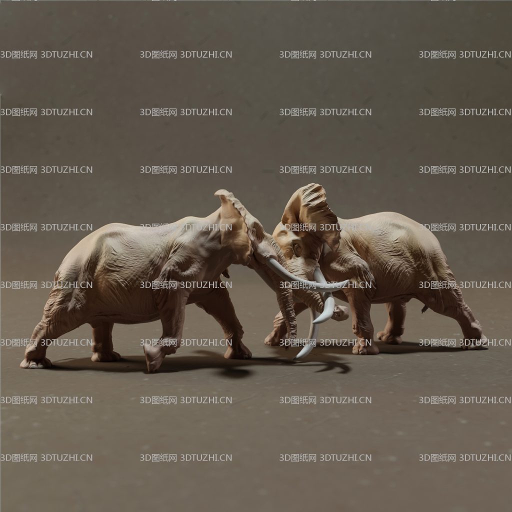 非洲大象打斗-3D图纸网