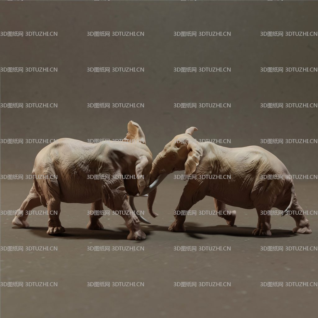 elephant-bull-fight-3