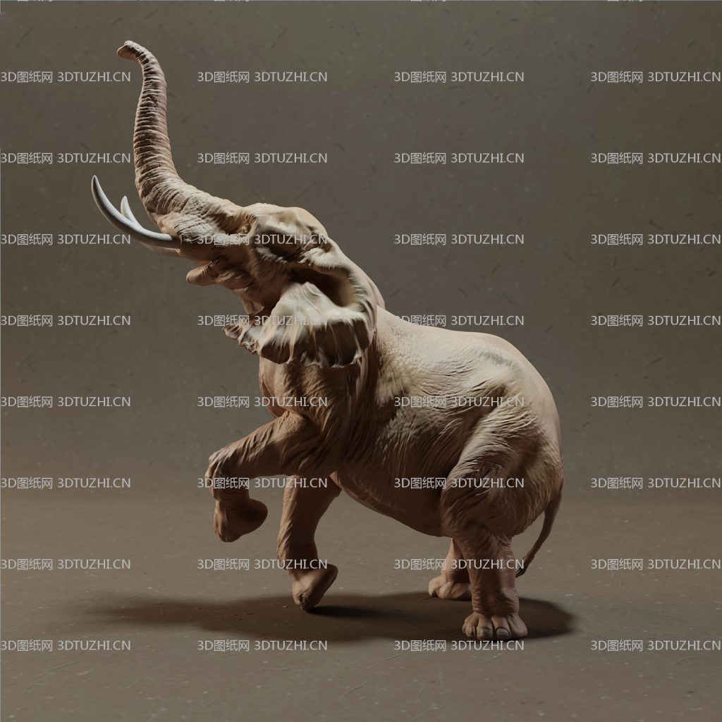 elephant-bull-standing-1