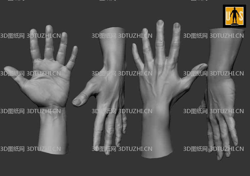 精细男性手部手势4款-3D图纸网