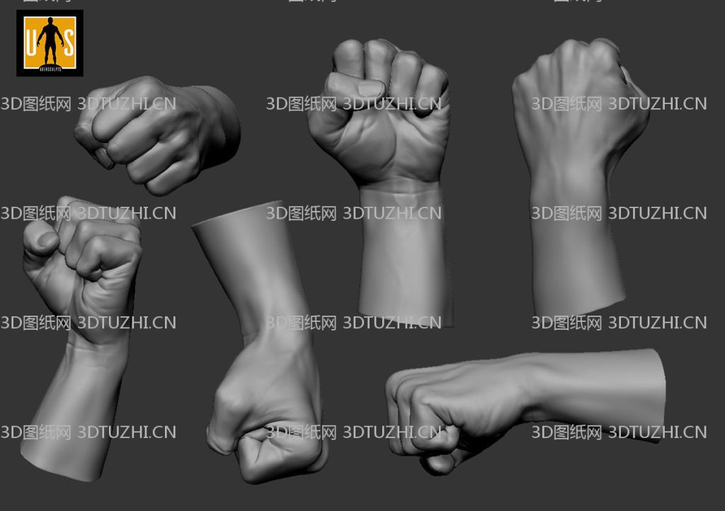hand in 4 poses 3D model- 2