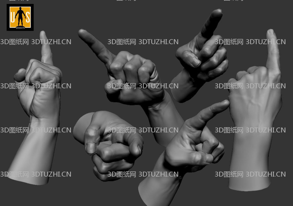 hand in 4 poses 3D model- 3