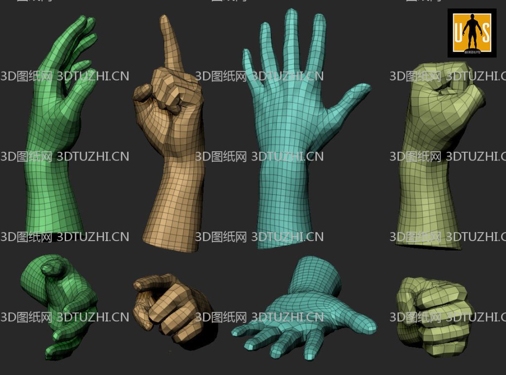 hand in 4 poses 3D model- 5