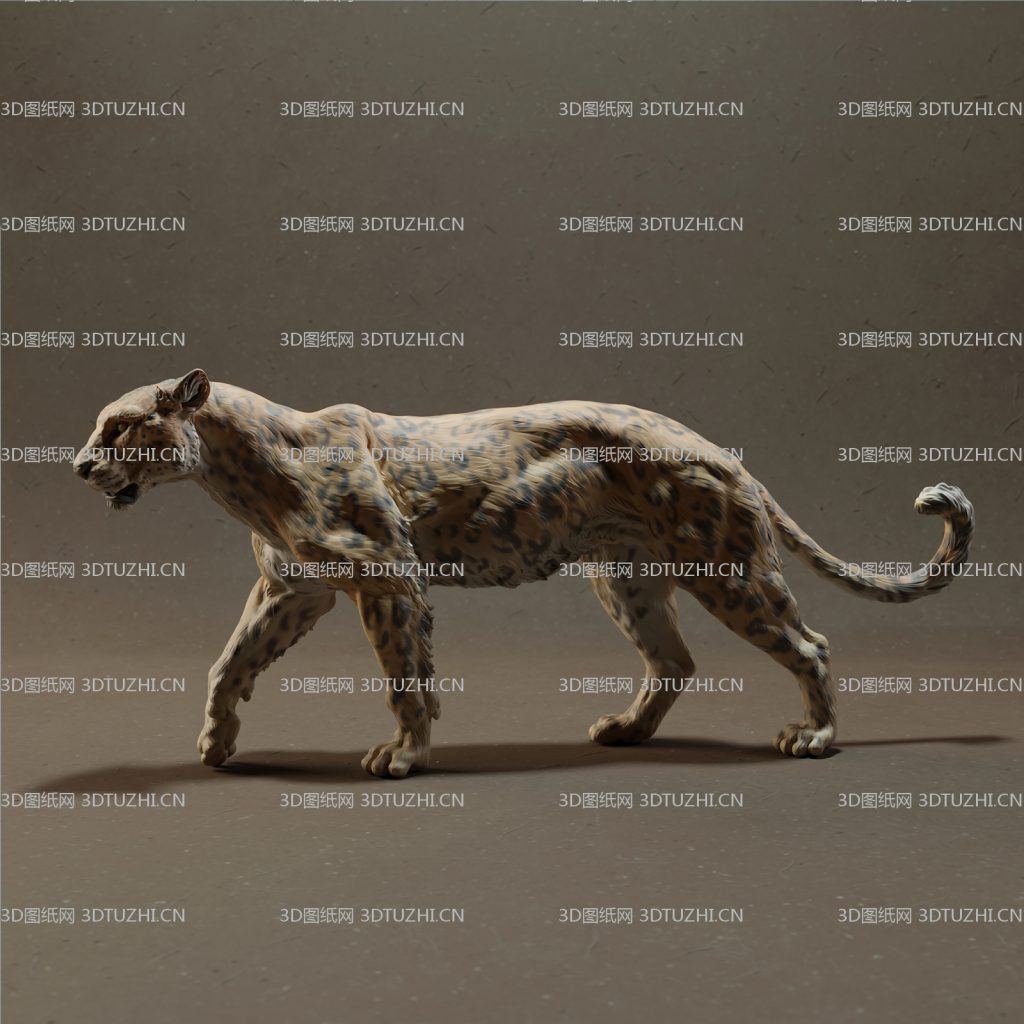 非洲猎豹花豹-3D图纸网