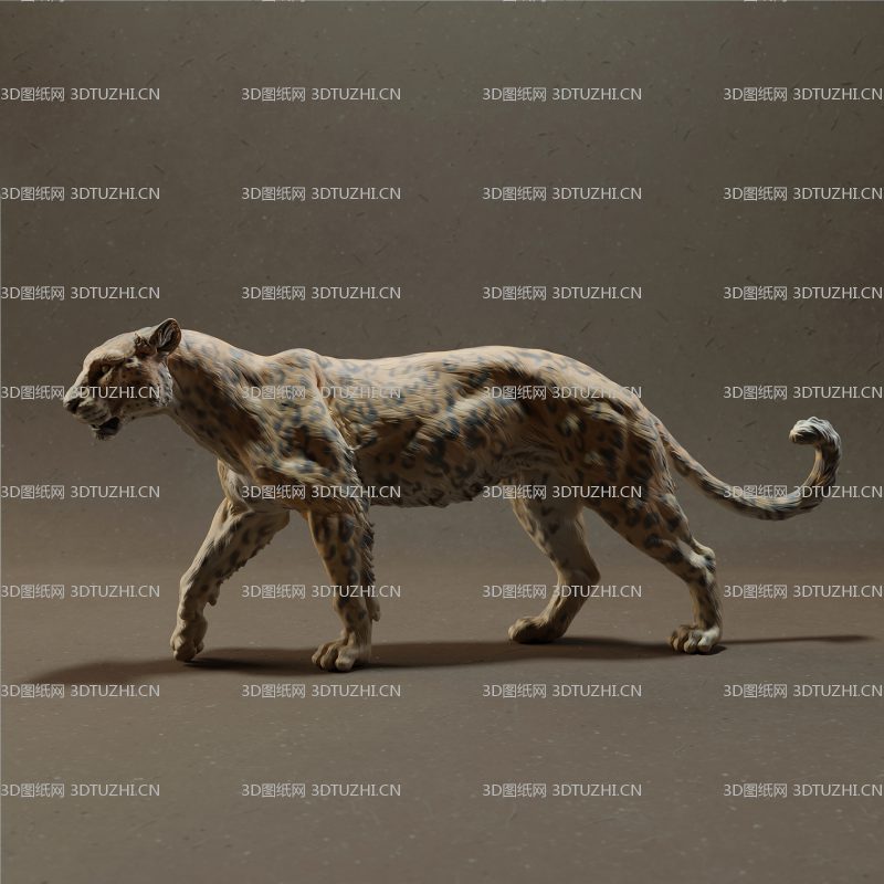 非洲猎豹花豹-3D图纸网
