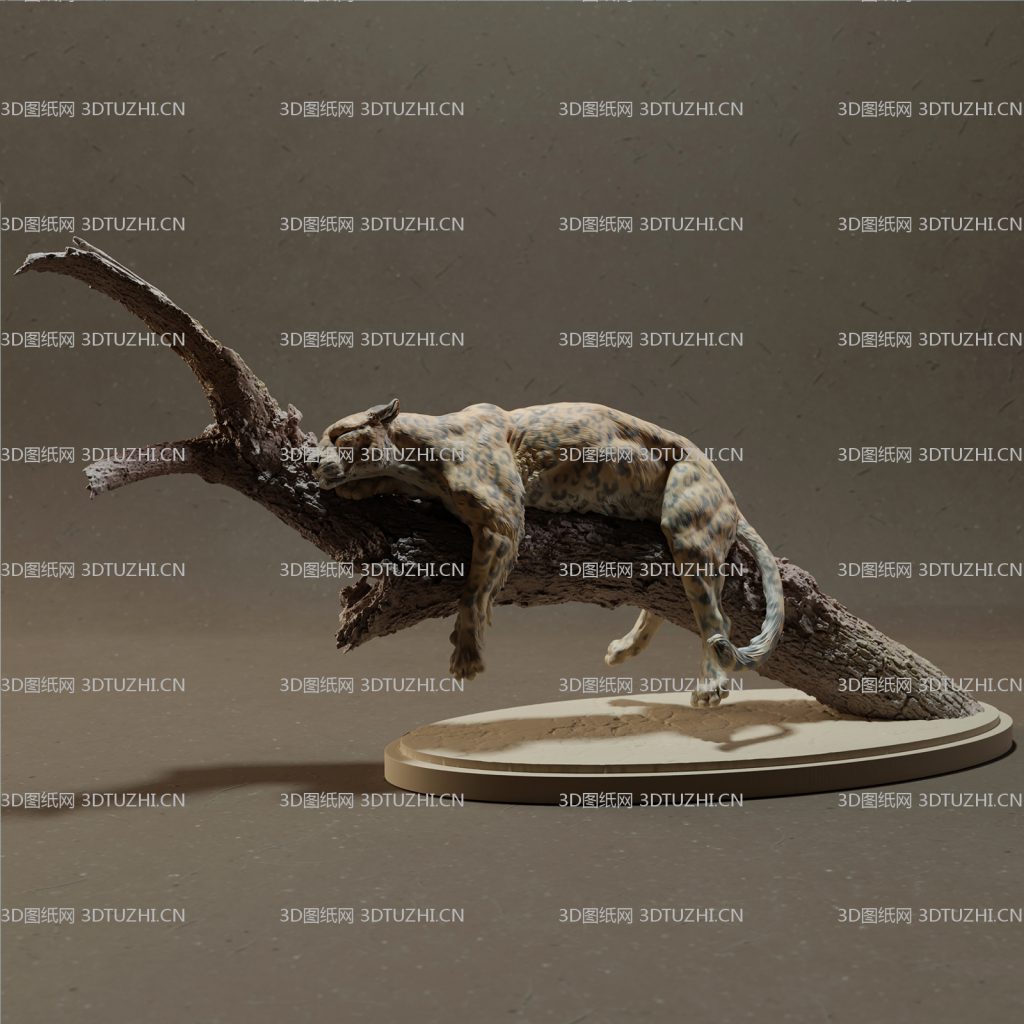 非洲猎豹花豹睡觉-3D图纸网