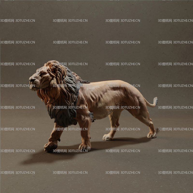 非洲狮子雄狮-3D图纸网