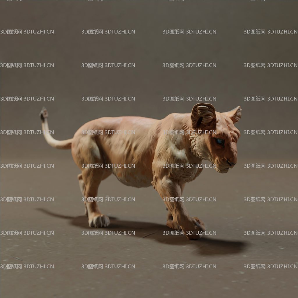 小狮子幼狮子-3D图纸网