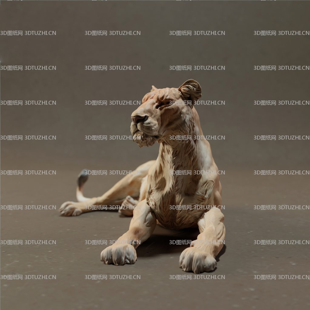 休息的母狮-3D图纸网