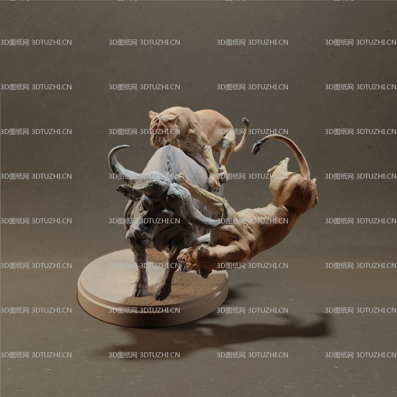 狮子狩猎水牛-3D图纸网