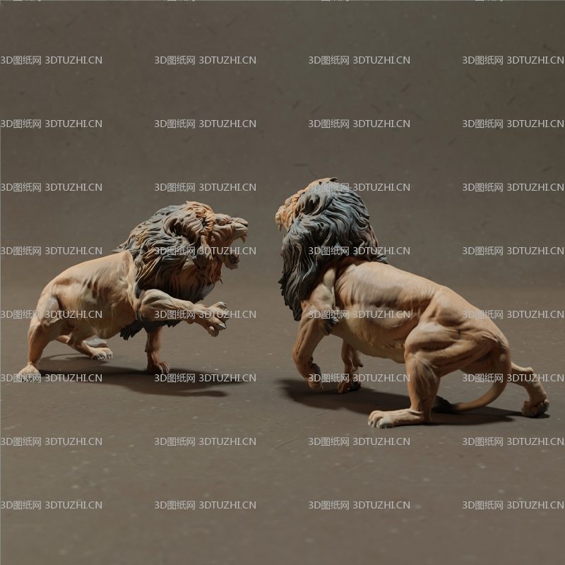 狮子打架图纸-3D图纸网