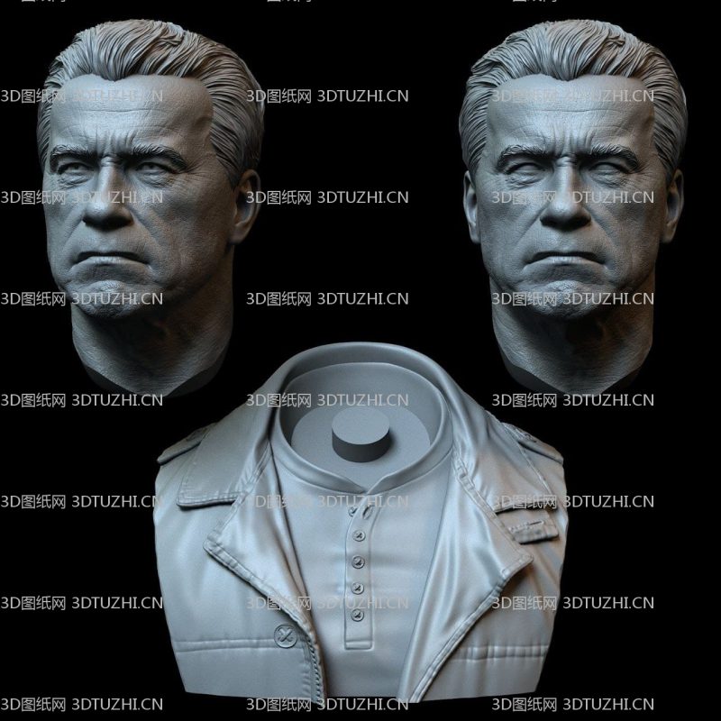 好莱坞明星阿诺德·施瓦辛格半身像胸像-3D图纸网