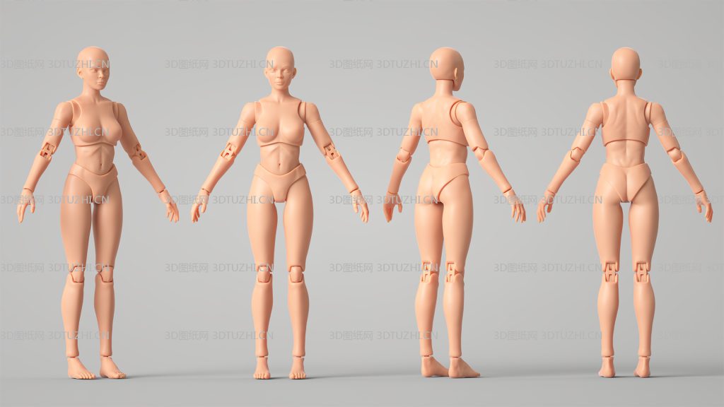 可动关节娃娃模型-3D图纸网