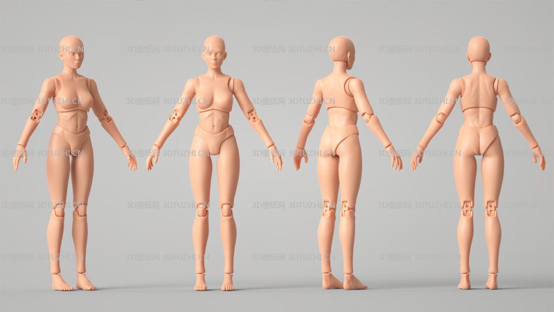 可动关节娃娃模型-3D图纸网