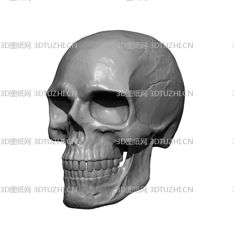 骷髅头雕刻-3D图纸网