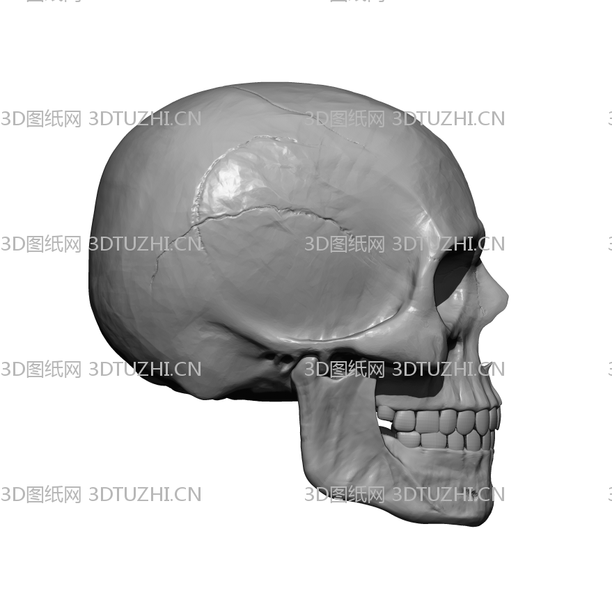 4713b35f2f5fcfb47f4f6a6d52bd146f