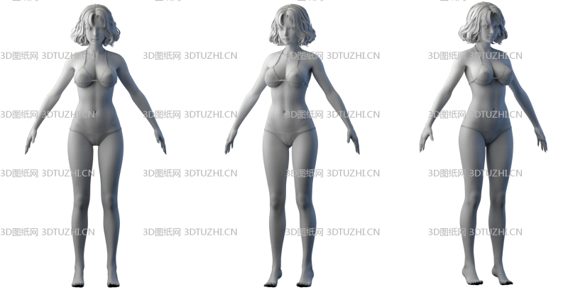 女性基础人体角色模型-3D图纸网