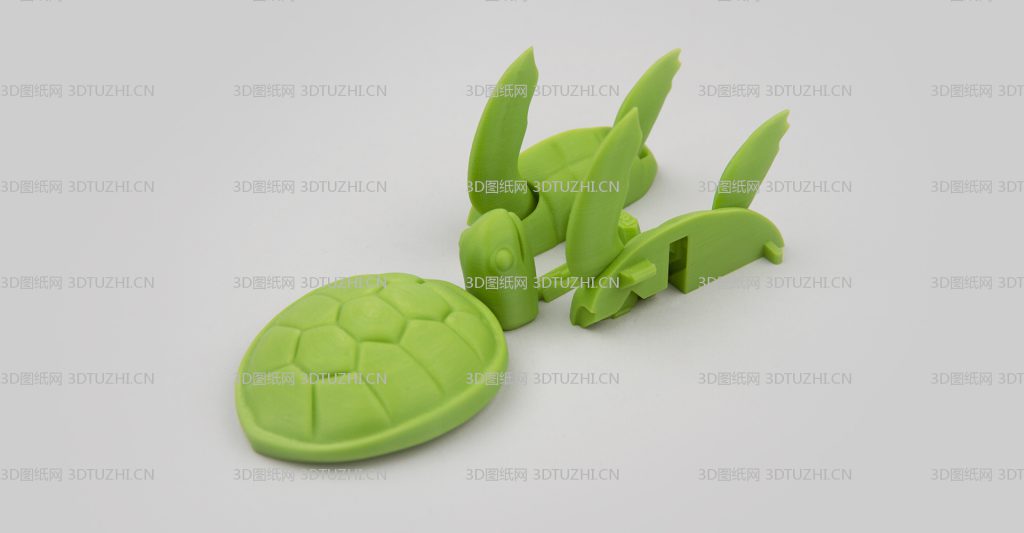 乌龟1