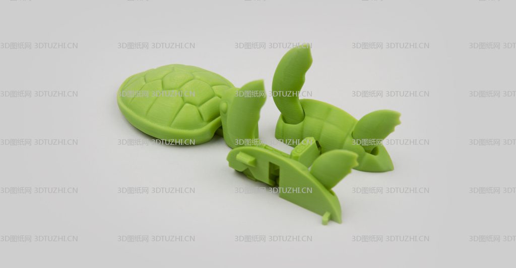 乌龟2