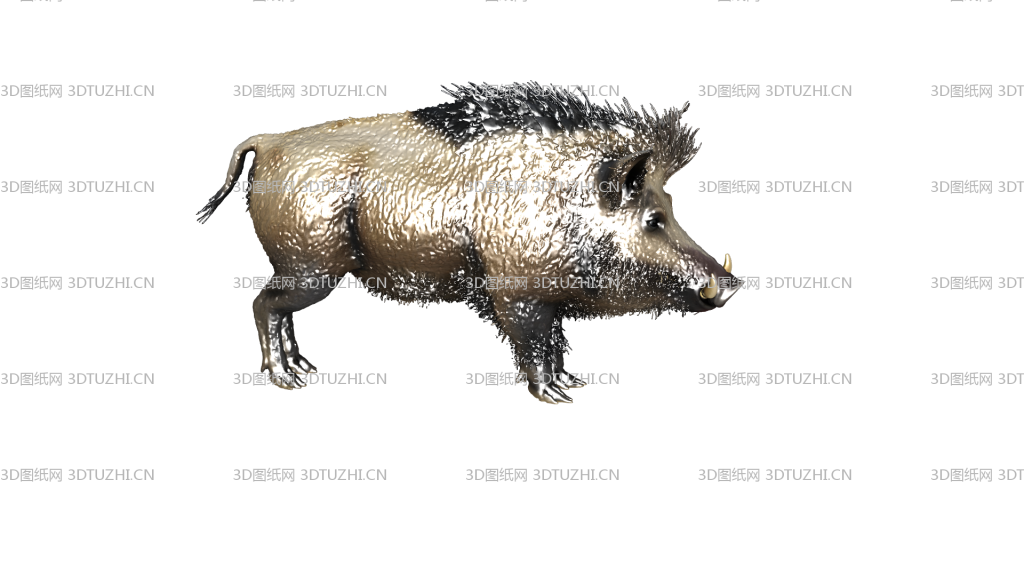野猪模型疣猪-3D图纸网