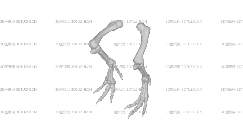 霸王龙腿骨-3D图纸网
